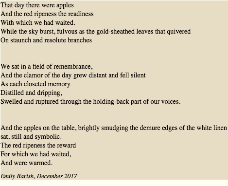 Screen Shot 2017-12-13 at 5.23.35 PM